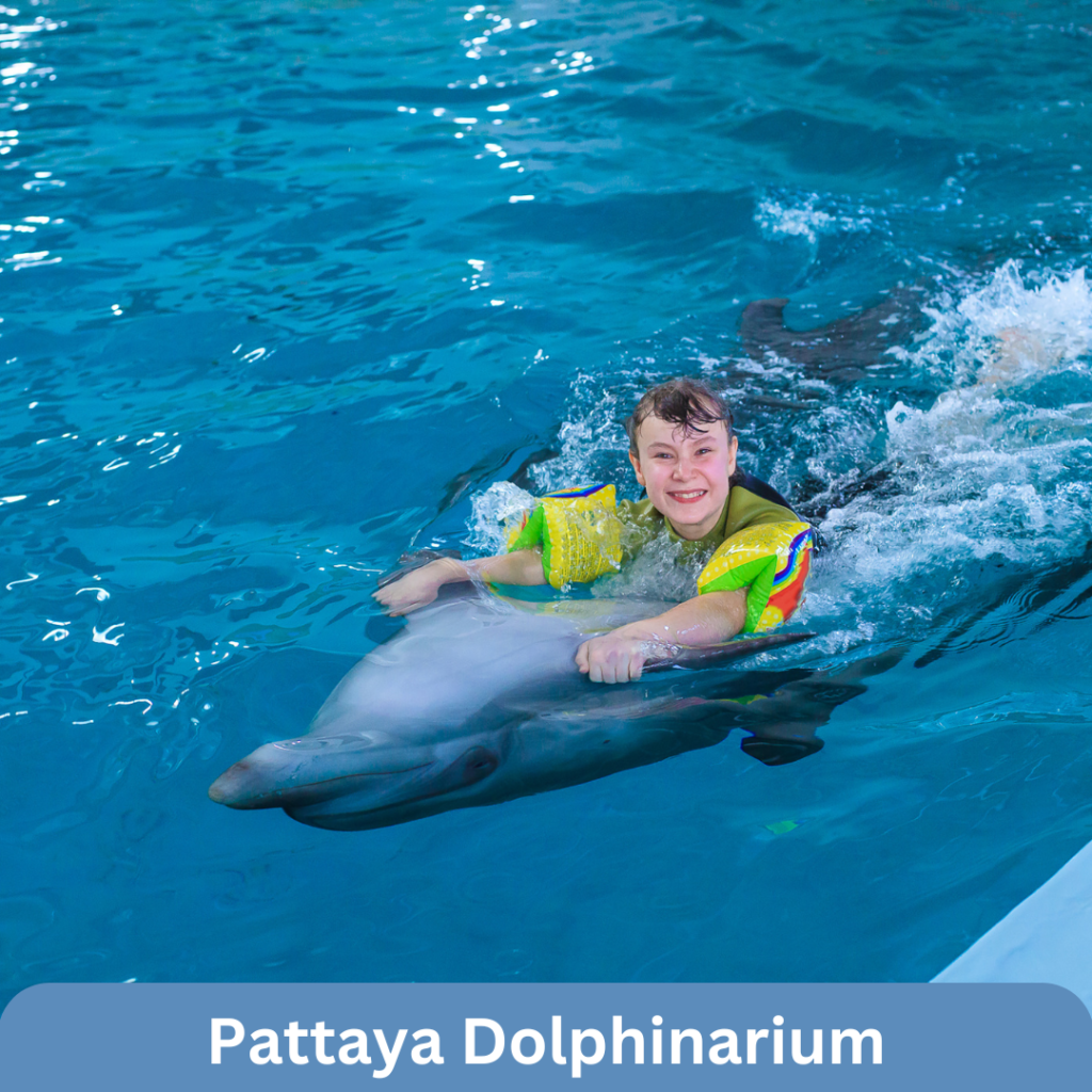 Pattaya Dolphinarium Pattaya Dolphinarium